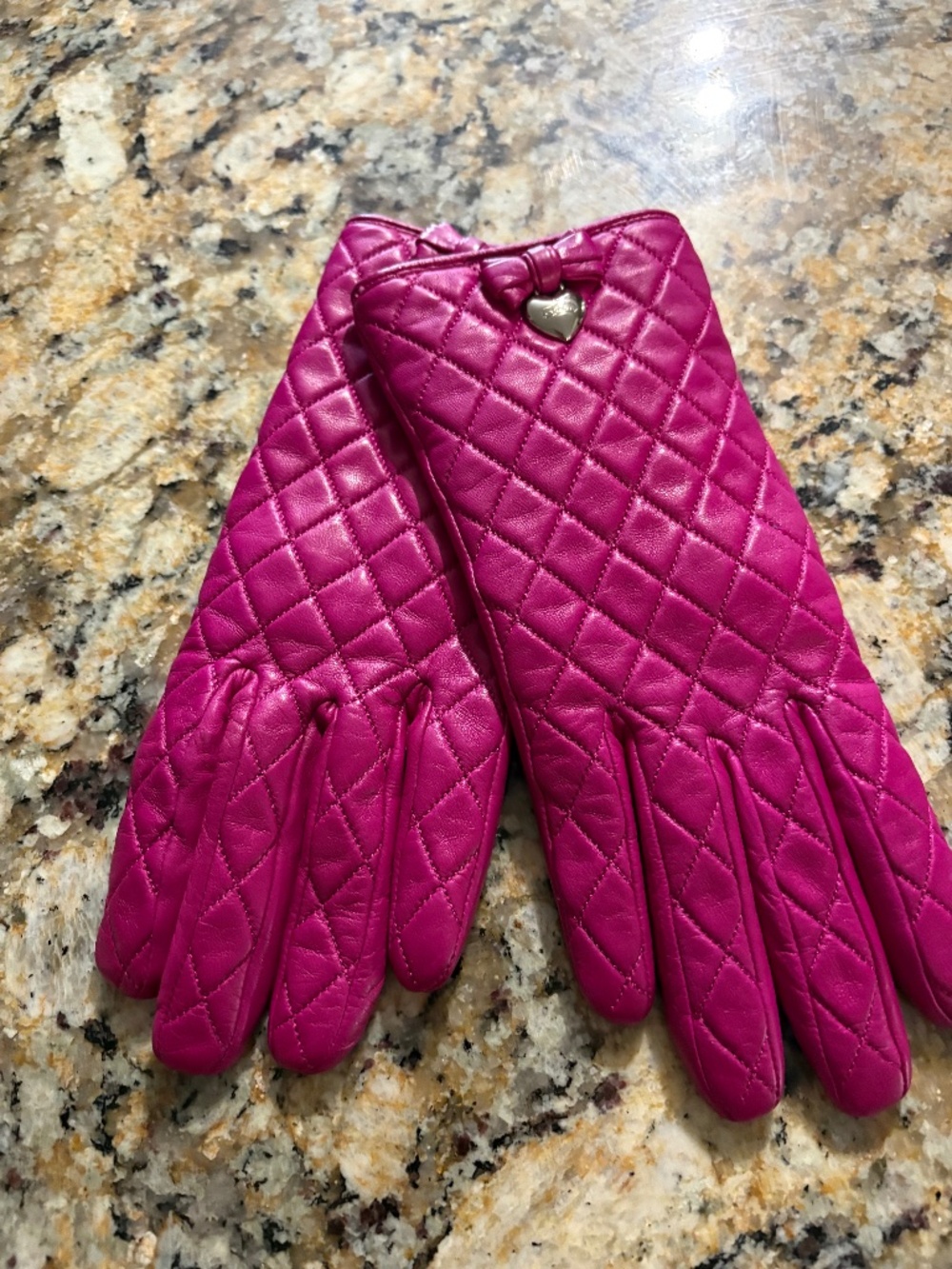 Coach Gloves